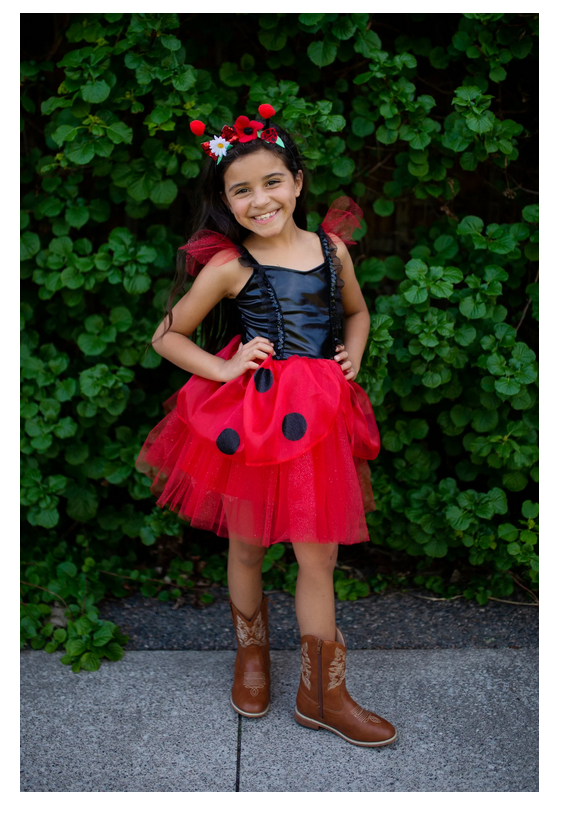 Ladybug Dress with Headband (5-6)