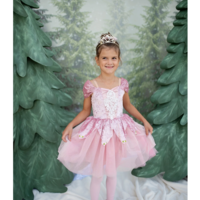 Holiday Ballerina Dress