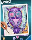 Paint by Number Dreaming Owl