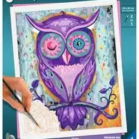 Paint by Number Dreaming Owl