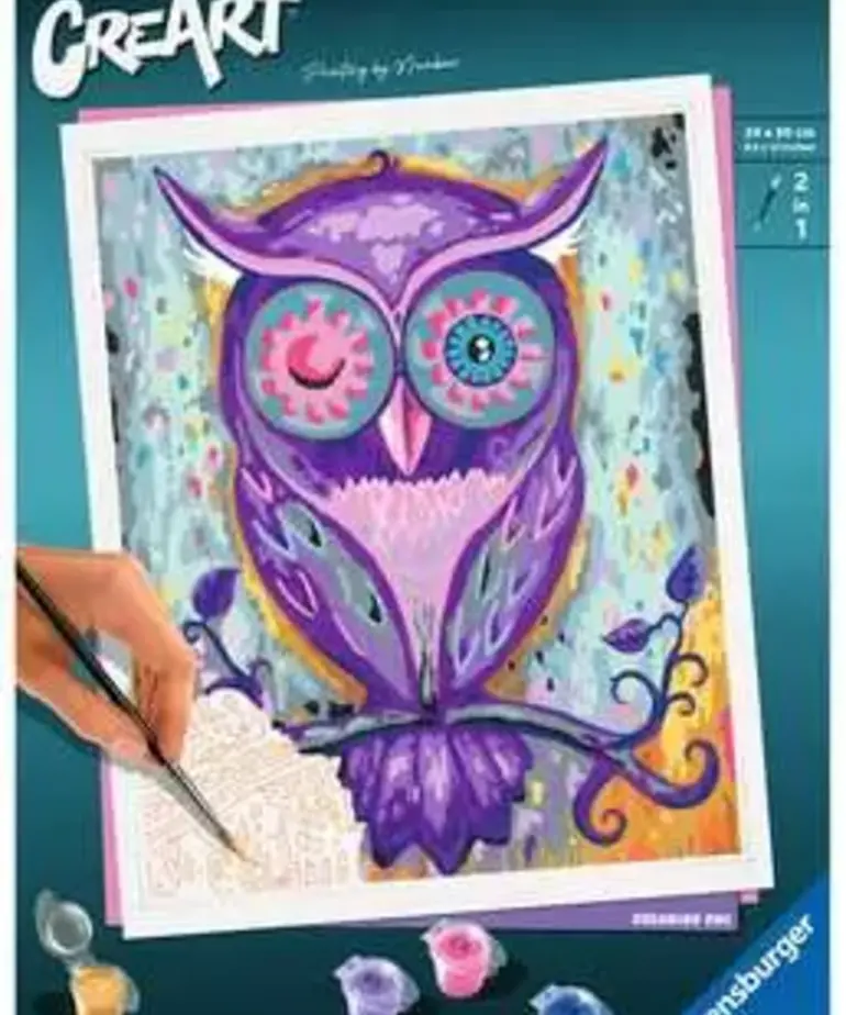 Paint by Number Dreaming Owl