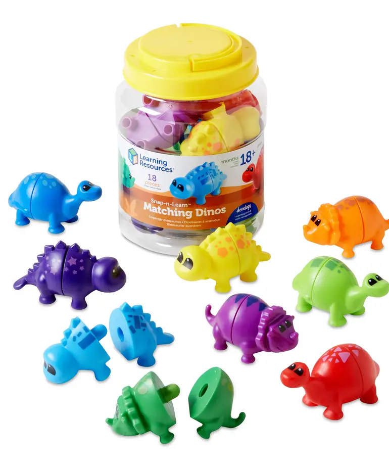 Snap-n-Learn Matching Dinos