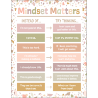 Terrazzo Tones Mindset Matters Chart