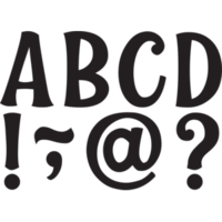 Wild Whimsy 3" Magnetic Letters Black