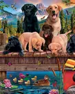 Pups & Ducks 350pc Family Puzzle