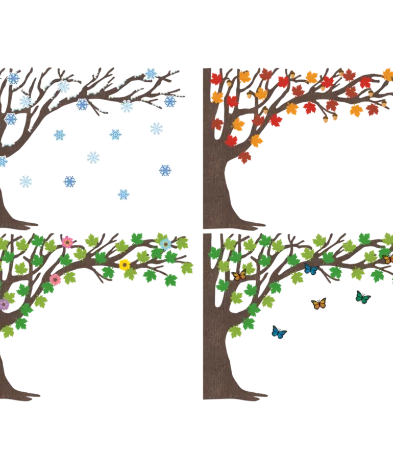 Tree for All Seasons Bulletin Board
