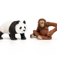 Wild Life Asia Starter Set