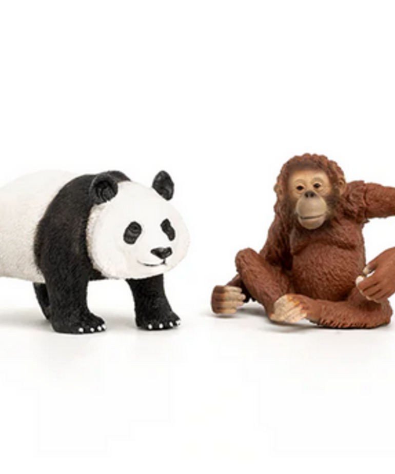 Wild Life Asia Starter Set