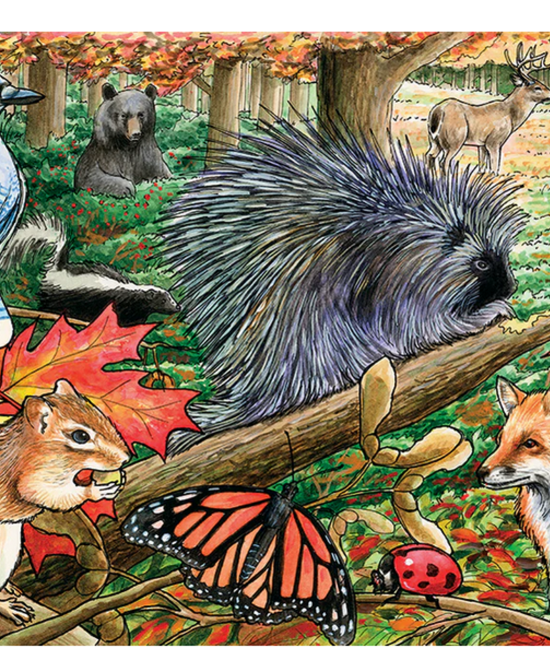 Eastern Woodlands Tray Puzzle