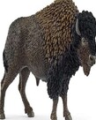 Bison