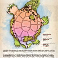 Turtle Island-Poster