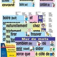 French Word Wall Card Set