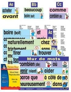 French Word Wall Card Set