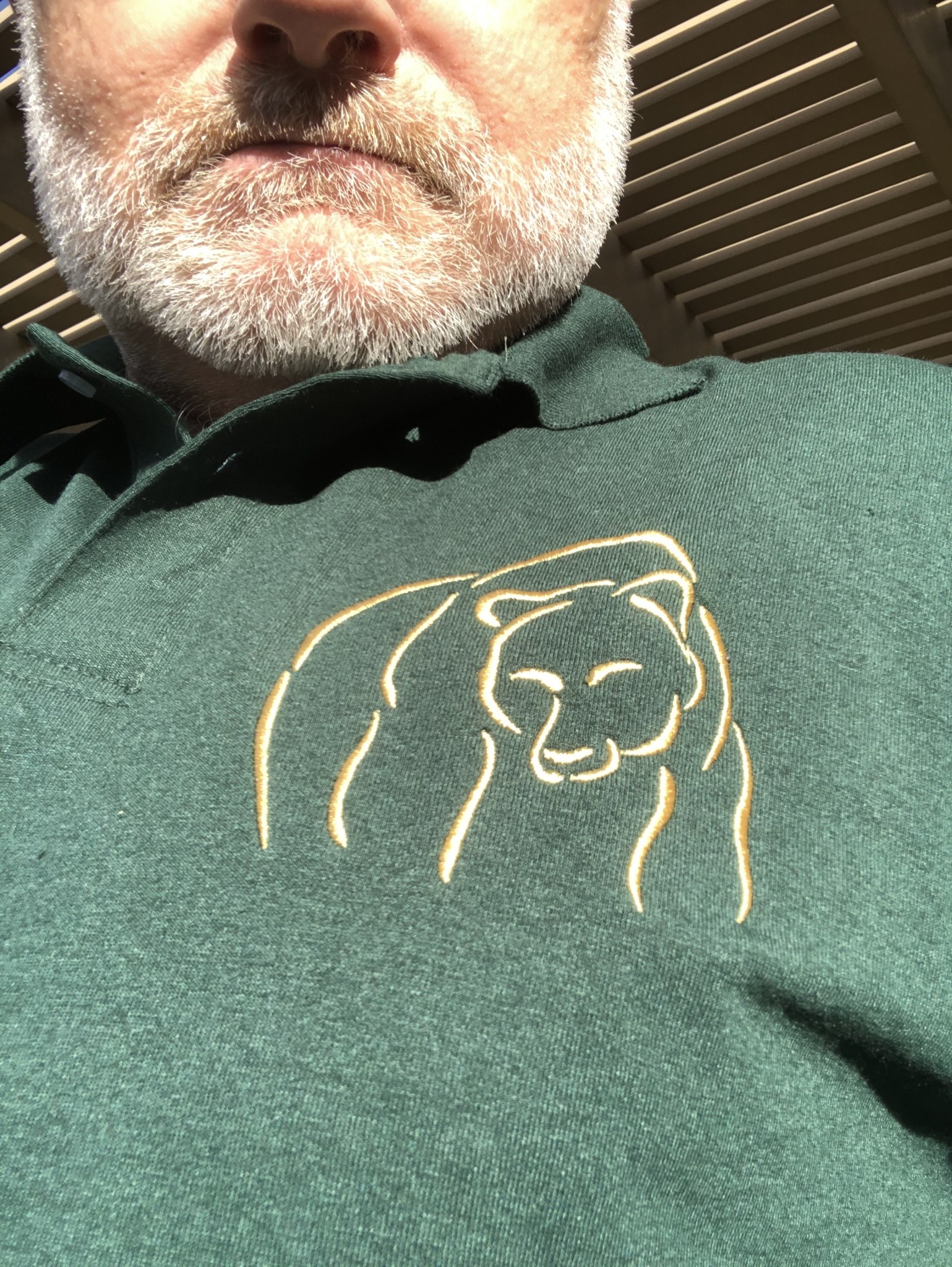 Bear Wear, Deep Forest Green with Gold Abstract Bear Design