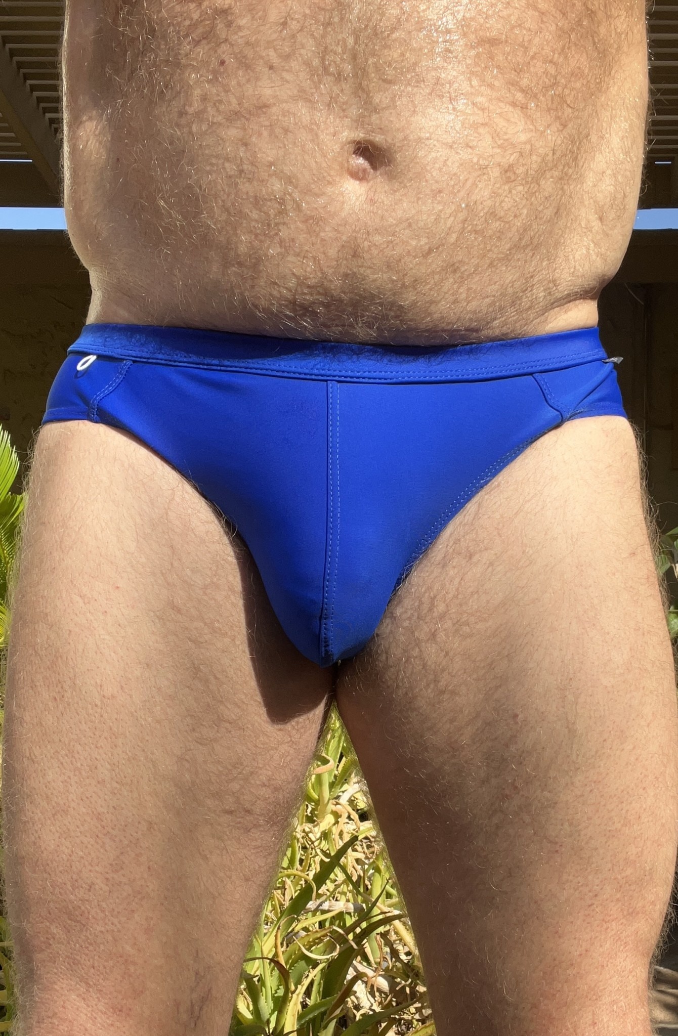 Swim Brief, Solid Royal