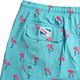 Flamazing, Eco Friendly Swim Short