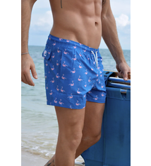 Crazy Flamingo, Eco Friendly Swim Short