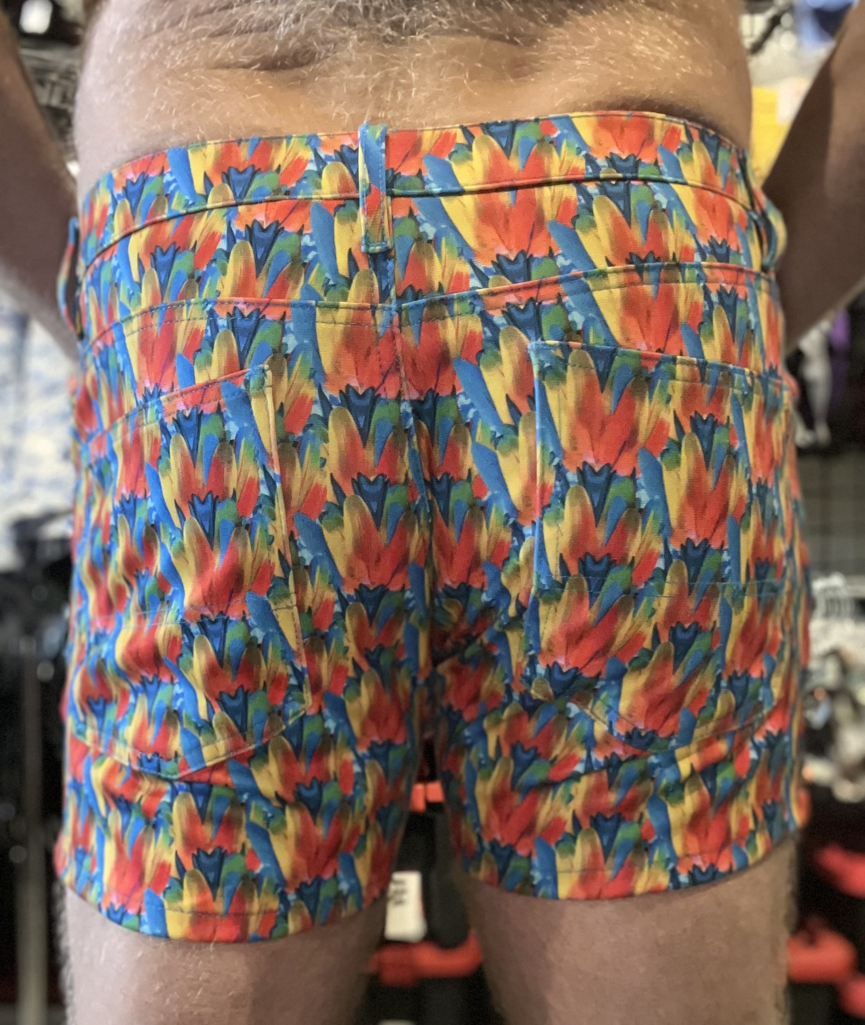 Color Feathers 08, Dad Short