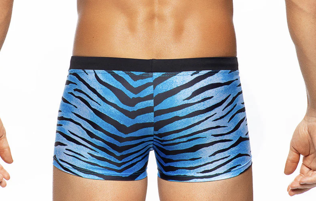 Africa Tiger Trunk