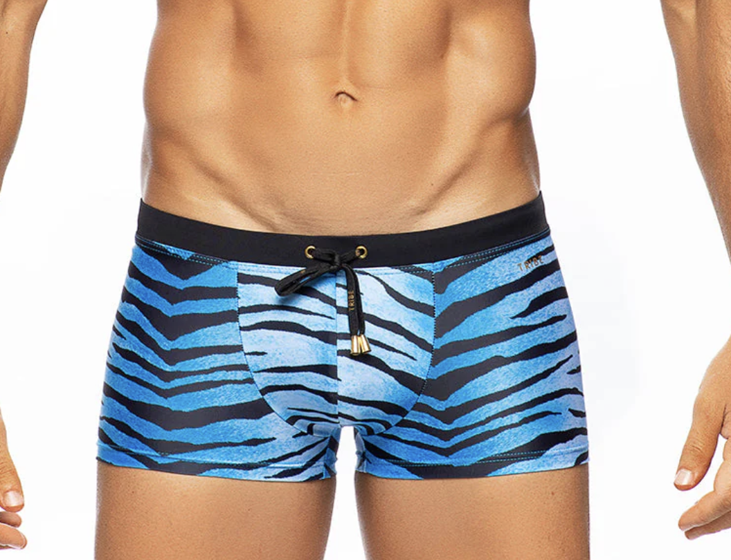 Africa Tiger Trunk