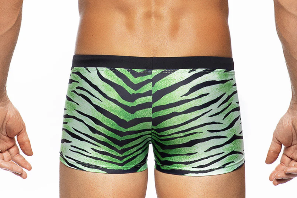 Africa Tiger Trunk