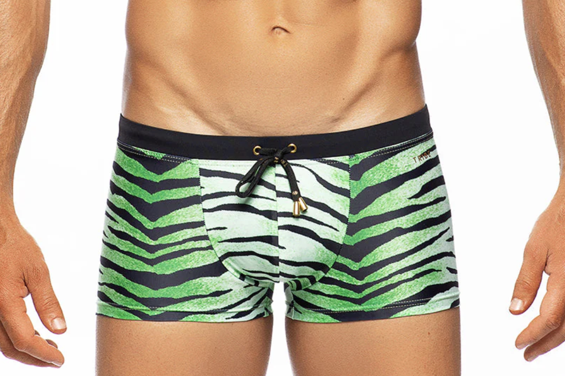 Africa Tiger Trunk