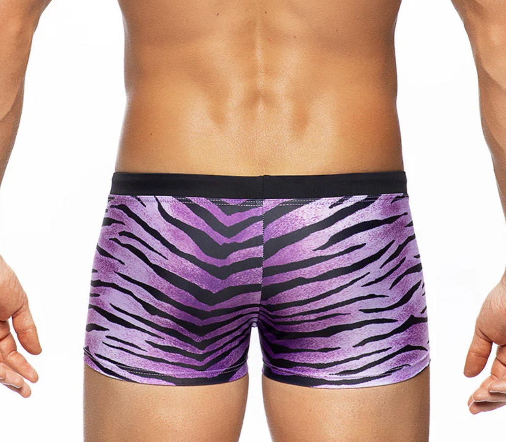 Africa Tiger Trunk