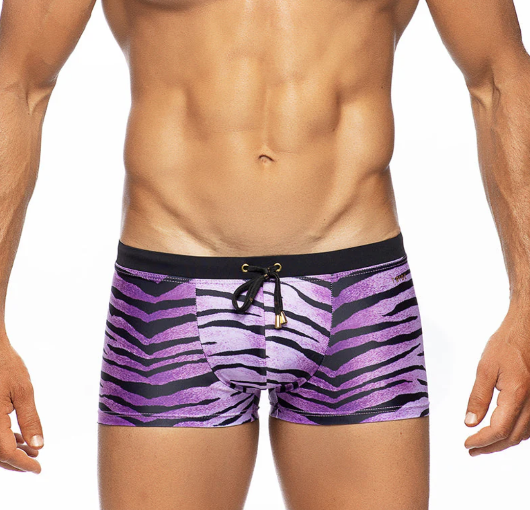 Africa Tiger Trunk