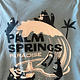 Palm Springs Paradise Splash