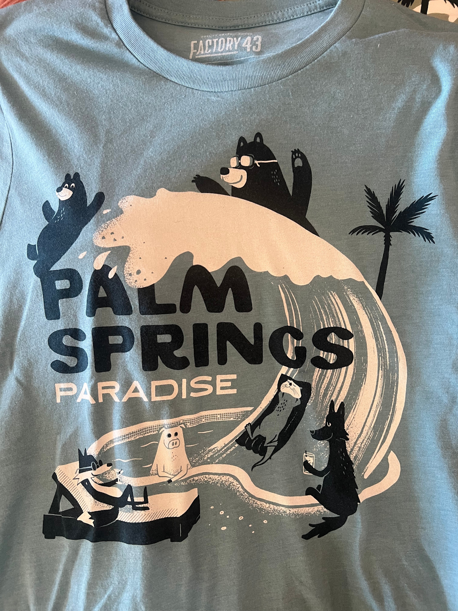 Palm Springs Paradise Splash