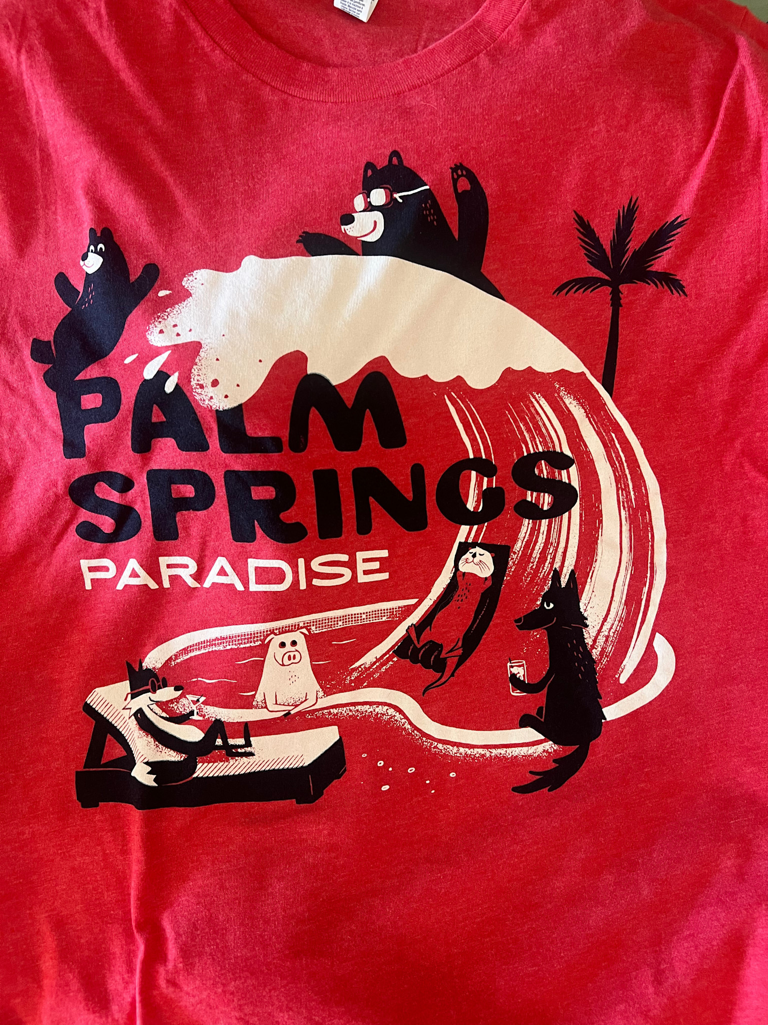 Palm Springs Paradise Splash