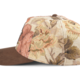 American Needle Archibald Cap