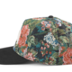 American Needle Archibald Cap