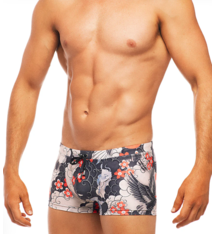 Yakuza Crane & Koi Trunk by Tribe