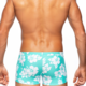 Tribe Aloha Trunk, Aqua