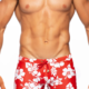 Tribe Aloha Trunk, Red