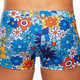 Botanical, Trunk, Blue/Orange