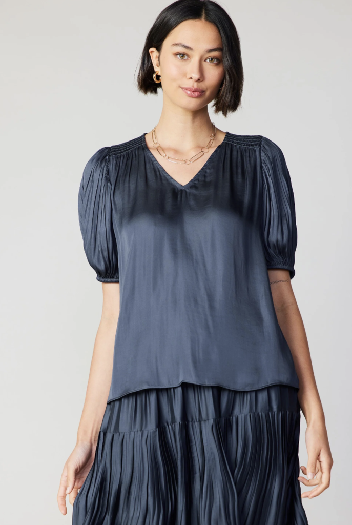 Current Air Pleated V-Neck Blouse