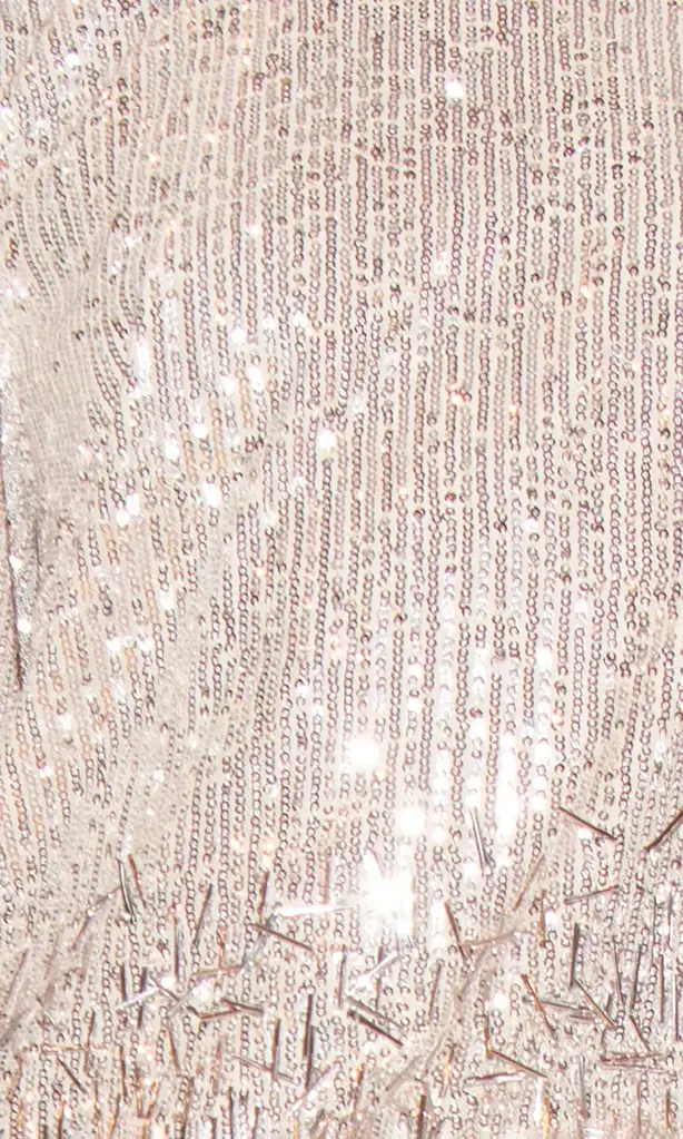 Saylor Alix Beaded Sequin Top