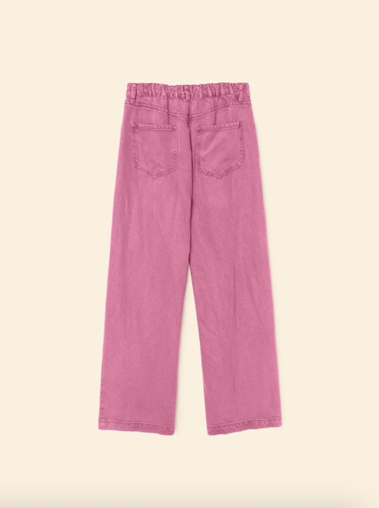 Xirena Nixon Pant