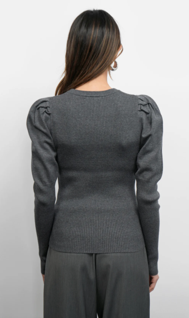 Greylin Renoa Puff Knit Top