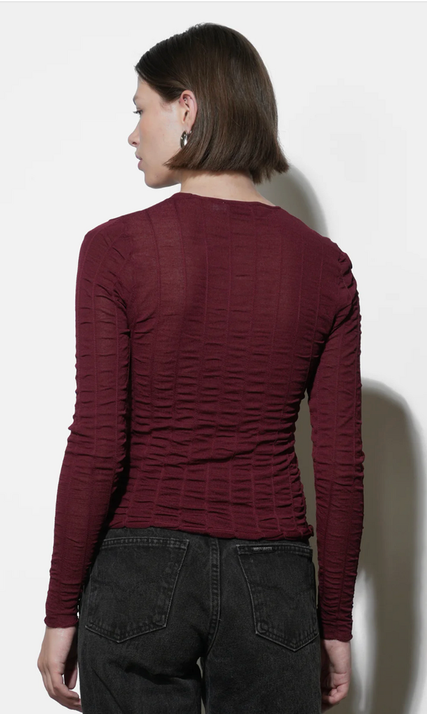 Greylin Freya Sheer Textured Mesh Long Sleeve Top