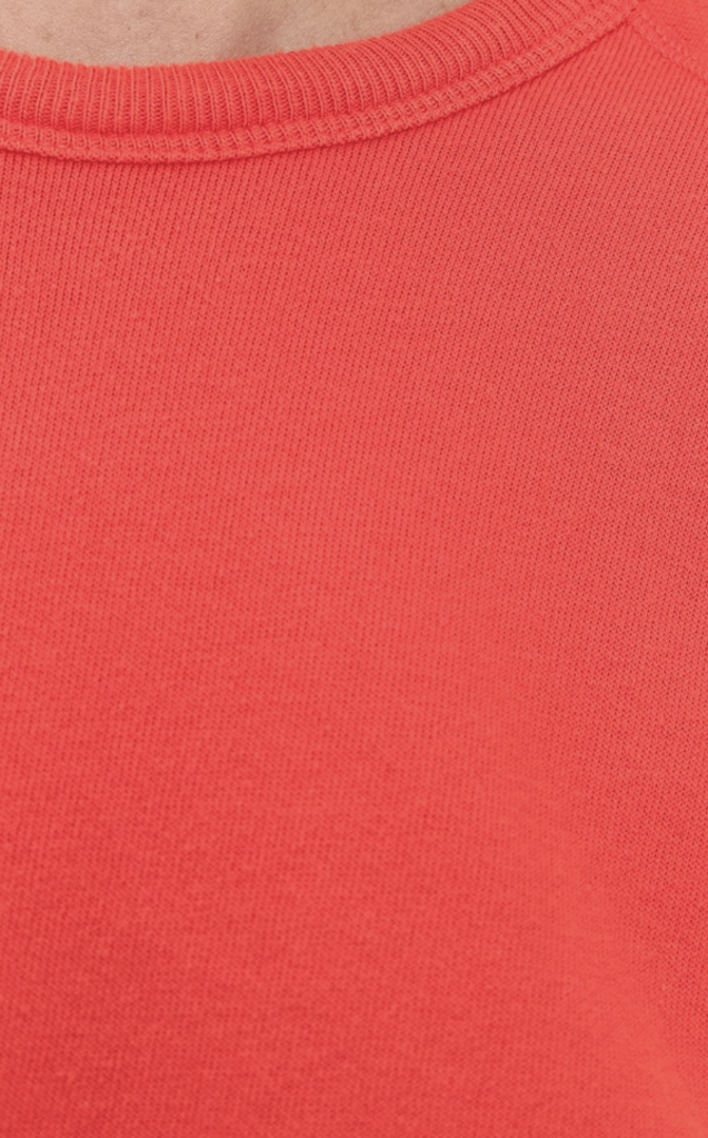 The Great The fleece rookie sweatshirt