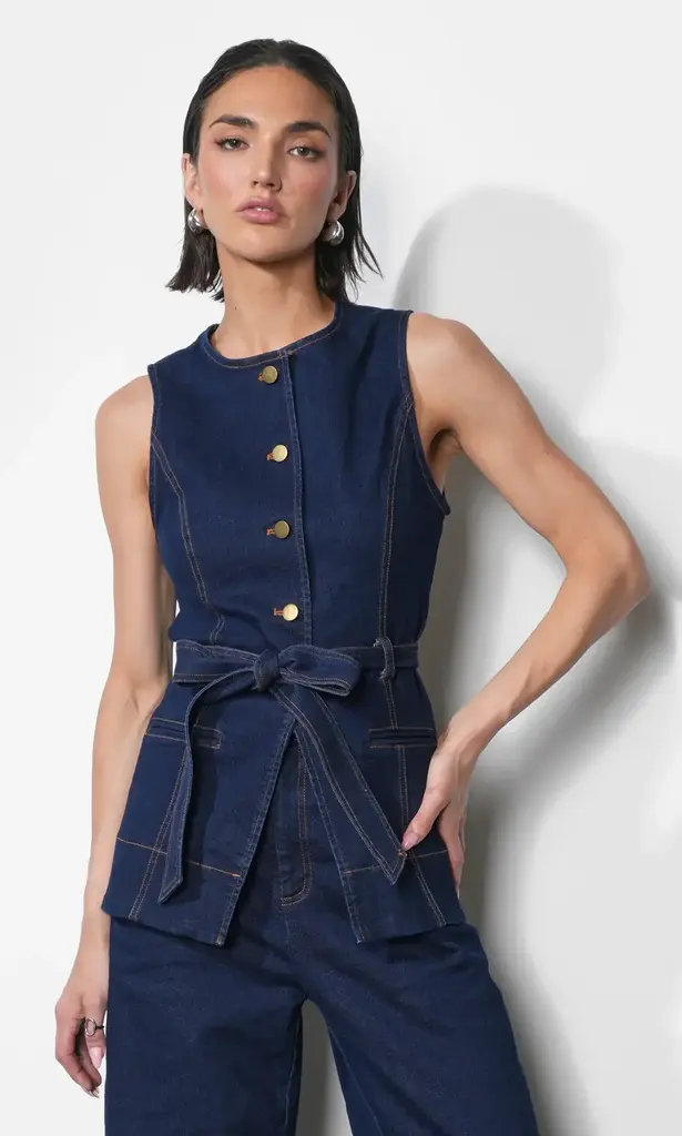 Greylin Clarence Button Up Denim Vest