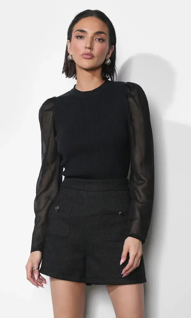 Greylin Honey Sheer Sleeve Sweater Top