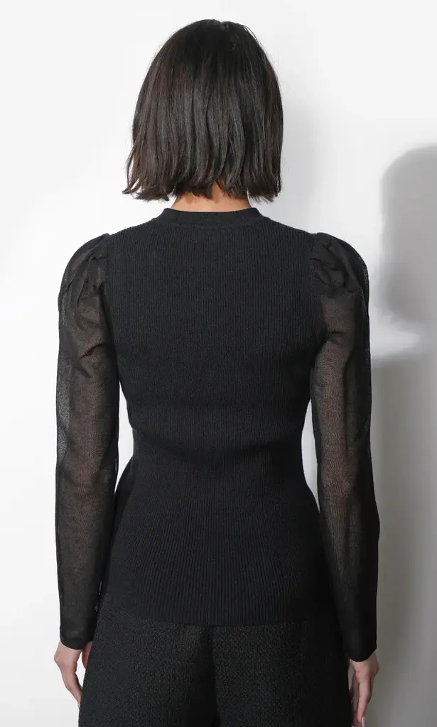 Greylin Honey Sheer Sleeve Sweater Top