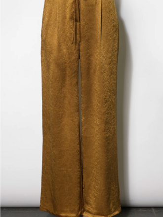 Greylin Nova Satin Drawstring Wideleg Pant