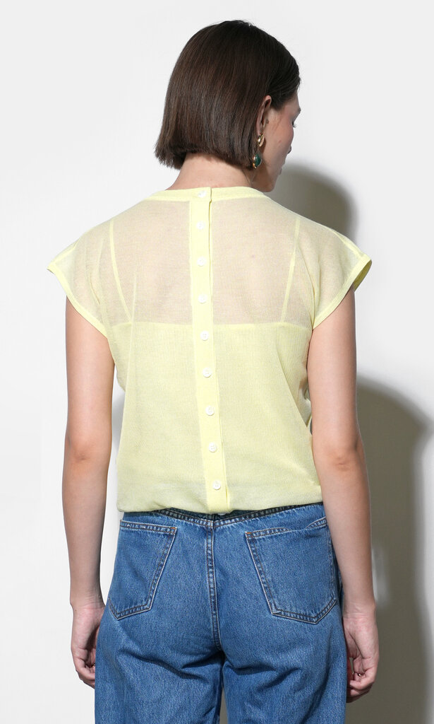 Greylin Natalia Sheer Bubble Top