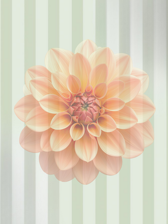 Rowe x Sweet Dahlia Vintage Pop-Up