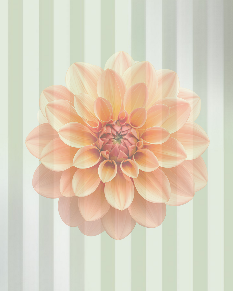 Rowe x Sweet Dahlia Vintage Pop-Up